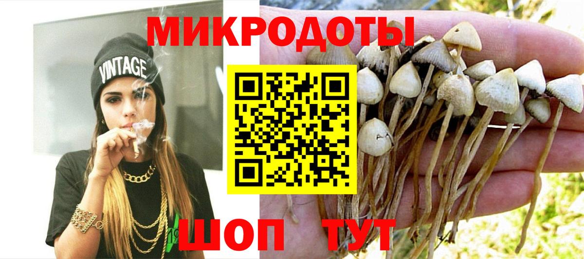Дальнегорск  Галлюциногенные грибы мицелий  Вход с VPN  Галлюциногенные грибы прущие грибы 